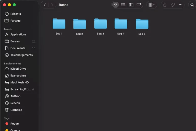 Organisation des chutiers dans DaVinci Resolve pour débuter le montage vidéo